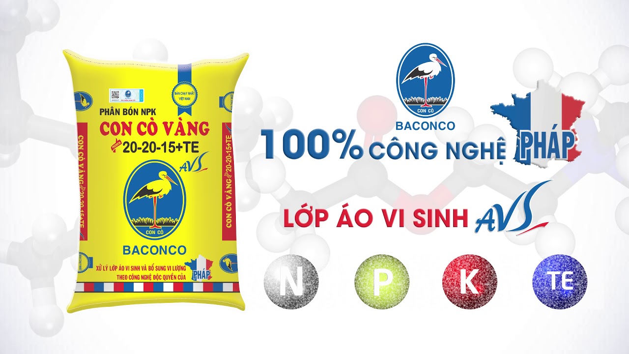 Công Ty TNHH Baconco TVC 37s Full - YouTube