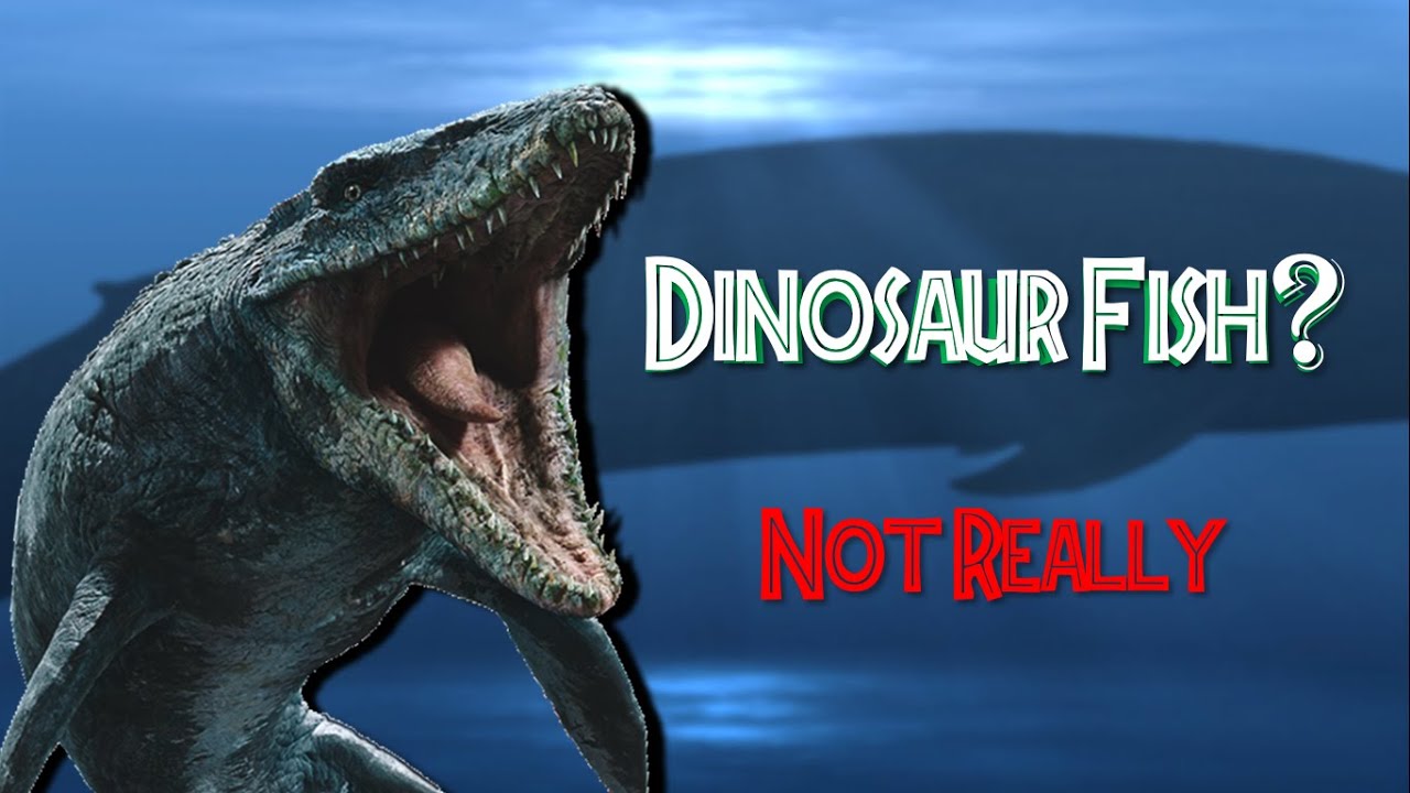 Dinosaur Fish... Never Existed? YouTube