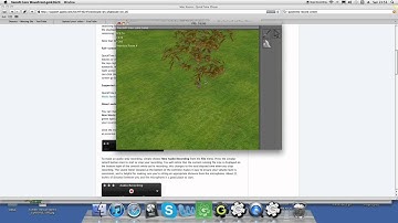 RPG Studio 3D - Tree Rendering (3D Role Playing Game Creation Tool Created With Game Maker)