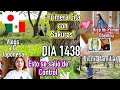 Su primer picnic hanami    ahora son responsables  japn  ruthi san  13230424