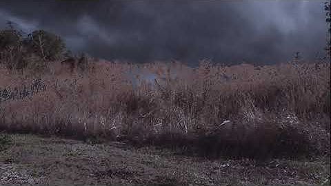 Rain effect with clouds