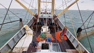 Een Eerste Indruk Van De Kiwikuil Een Week Van Testen En Uitproberen