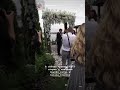 Весілля Петра Заставного та Аліни Френдій