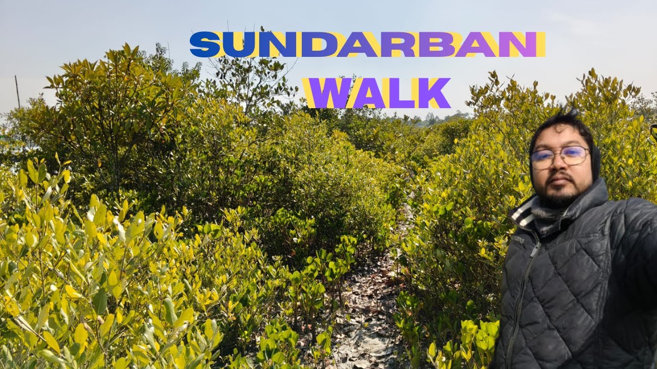 DAY 3 | SUNDARBAN VILLAGE TOUR | JUNGLE SAFARI BY WALK | BOAT RIDE AND FOOD BUDGET WEEKEND TOUR