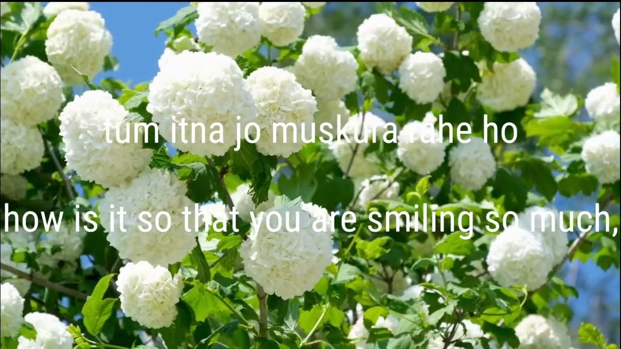 Tum Itna English Translation YouTube tum-itna-english-translation-youtube