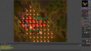 Tibia OT Warzone 1
