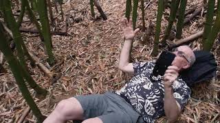 Maui Episode 03: Capturing Great Images in a Bamboo Forest screenshot 3