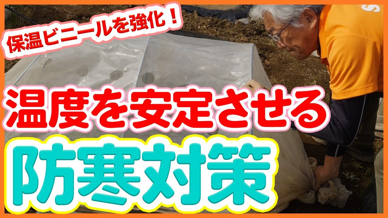 Cold weather measures to protect vegetables from the cold in home