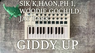 Sik K, 김하온, pH 1, Woodie Gochild, 박재범 - GIDDY UP (Prod  GroovyRoom) / Instrumental cover Tutorial