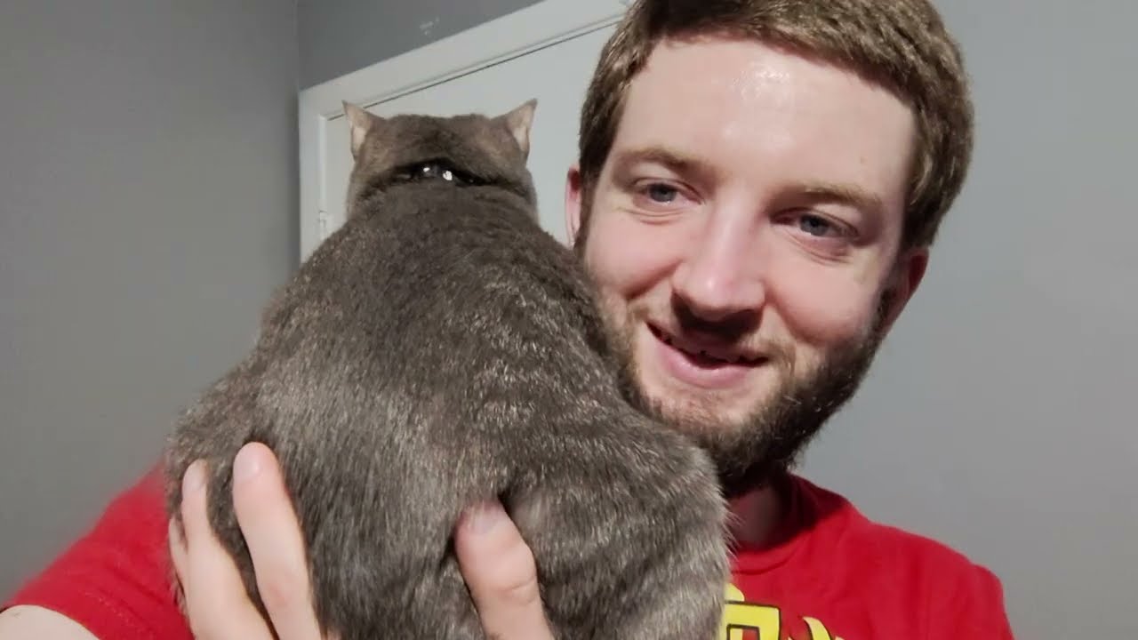 Shoulder-Mounted Baby