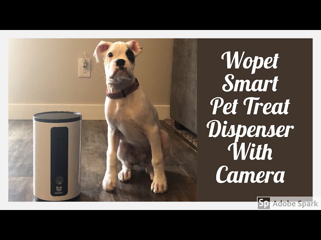 WOPET Smart Pet Camera and Dog Treat Dispenser, Boxer Puppy Product Testing  