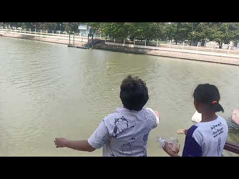 ให้ทาน อาหารปลา @วัดนิเวศธรรมประวัติราชวรวิหาร พระนครศรีอยุธยา