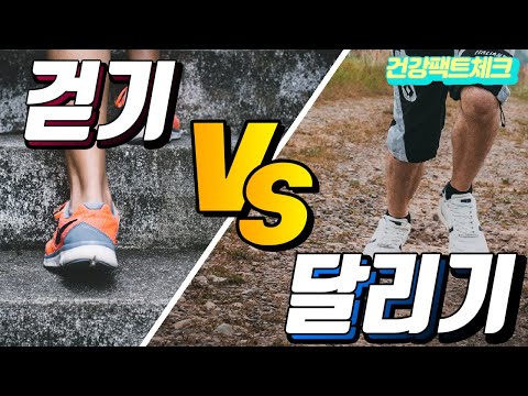 걷기와 달리기 중 어떤 운동이 더 좋을까? 유산소운동 [건나물TV]