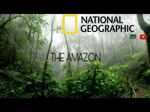 AMAZON ORMANLARI HD [National Geographic ] BELGESEL DİYARI