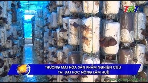 Thương mại hóa sản phẩm nghiên cứu tại Đại học Nông Lâm Huế