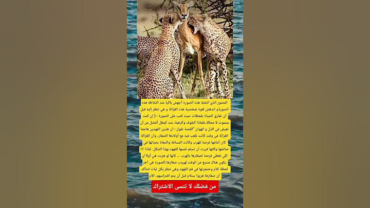 المصور الذي التقط هذه الصورة أجهش باكيا عند التقاطه هذه الصورة #العلم #اكسبلور #viral #تيك_توك