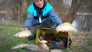 видео: ТАКУ РИБАЛКУ ЧЕКАЄШ ЦІЛИЙ РІК. Рибалка на фідер весною 2024 картинка: ТАКУ РИБАЛКУ ЧЕКАЄШ ЦІЛИЙ РІК. Рибалка на фідер весною 2024