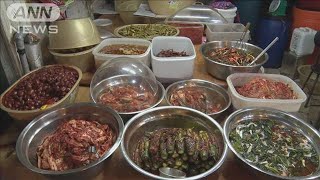 韓国のキムチ輸出“過去最高”に　新型コロナ影響か(2021年4月23日)