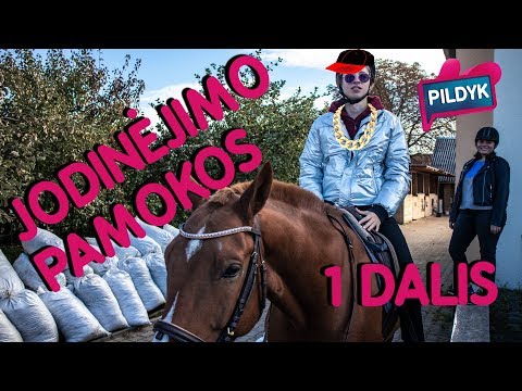 JODINĖJIMO PAMOKOS - 1 DALIS | Lauritta, sTimoMedia, Talžūnas, Vėjas | Pildyk ofisas