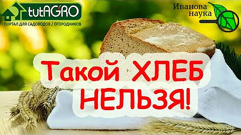 ХЛЕБНЫЙ УСКОРИТЕЛЬ РАССАДЫ. КАКОЙ ХЛЕБ ПРОТИВОПОКАЗАН? Полезен ли хлеб С ПЛЕСЕНЬЮ?