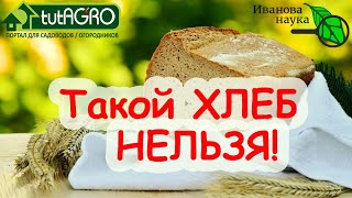 ХЛЕБНЫЙ УСКОРИТЕЛЬ РАССАДЫ. КАКОЙ ХЛЕБ ПРОТИВОПОКАЗАН? Полезен ли хлеб С ПЛЕСЕНЬЮ? - 1 