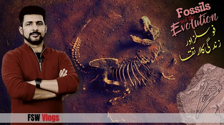 FSW Vlog | Evolution 03 | A dance of Fossils and Rocks | Faisal Warraich