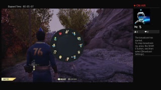 Fallout 76 guitar