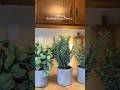 Artificial plant #homedecor #artificialplant #artificialplants #asmrclean #temufinds #deepclean #yt