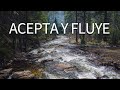 Meditación para la ACEPTACIÓN 🦋 Aceptar los cambios y fluir