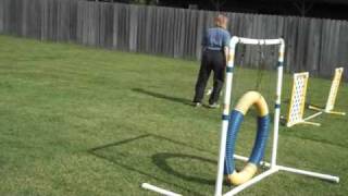 Dream 7 1/2 months Agility Training July, 2009
