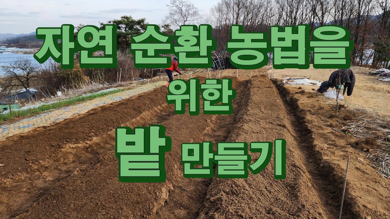 2024 자연순환 농업을 위한 밭 만들기 #밭만들기#유효토심#경반층#자연농#순환농법#두둑만들기#거름넣기#방선균#지렁이분변토 ...