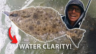 Hunting CA HALIBUT ON FOOT  Water Clarity TIPS