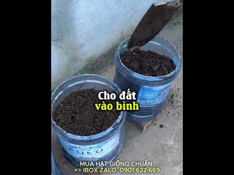 Mách bạn mẹo