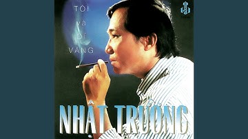 Tình Có Như Không