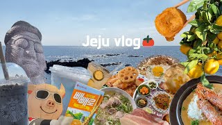 ENG) Travel Vlog: 3 days in Jeju Island / AKA Mukbang / Seogwipo & Aewol / Restaurants & café