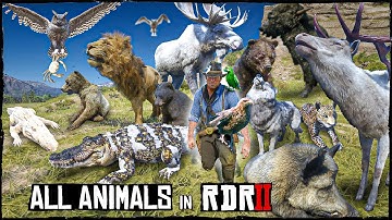 RDR2 Animal Encyclopedia | All Creatures & Wildlife in 4K