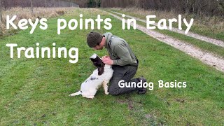 Mastering Retrieve body positioning 'Gundog basics series'