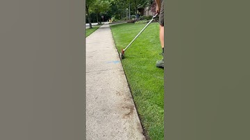 Sidewalk Touch Ups with the Scissors ✂️ #lawncare #shorts #satisfying #home #asmr #curbappeal