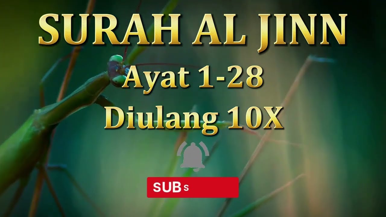 MUROTTAL SURAT AL JINN AYAT 1-28 METODE UMMI DIULANG 10X