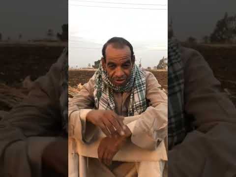 اللهجة المنياوية الجزء2