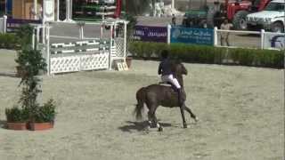 -9- الفارس : مشاري الحربي AL-EID EQUESTRIAN