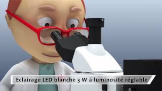 Mr. H. and HumaScope Fluo LED - Microscopes à fluorescence