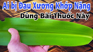 Ai bị Thoái Hóa Xương Khớp nặng thì dùng bài này. PHAN HẢI Channel 
