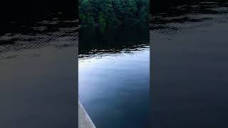 Cowan’s Gap State Park — Fort Loudon, Pennsylvania
