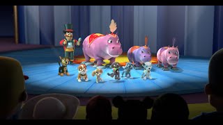 Zuma Being A Lead Dancer During A Circus Show - Paw Patrol