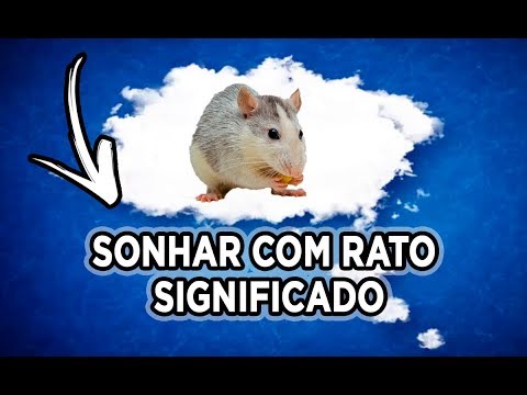 Vídeo: Por Que O Rato Está Sonhando