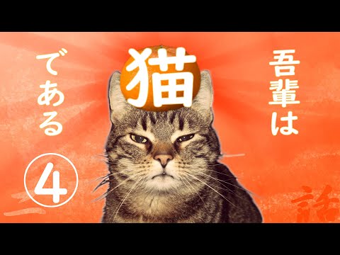 朗読】吾輩は猫である(4)／夏目漱石 - YouTube