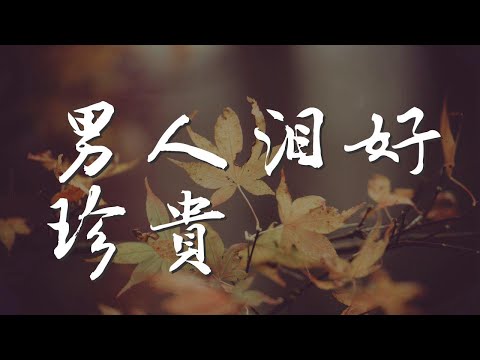 男人淚好珍貴 - 苗偉『男人的眼淚 怎會輕易流下來』【動態歌詞Lyrics】