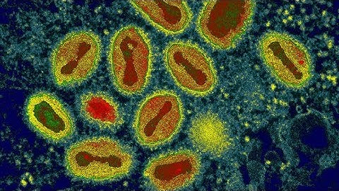 Virus Invades Your Body |Flu Attack |  Virus Animation