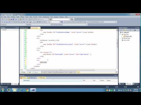 VS2010. Display Data. Part 1